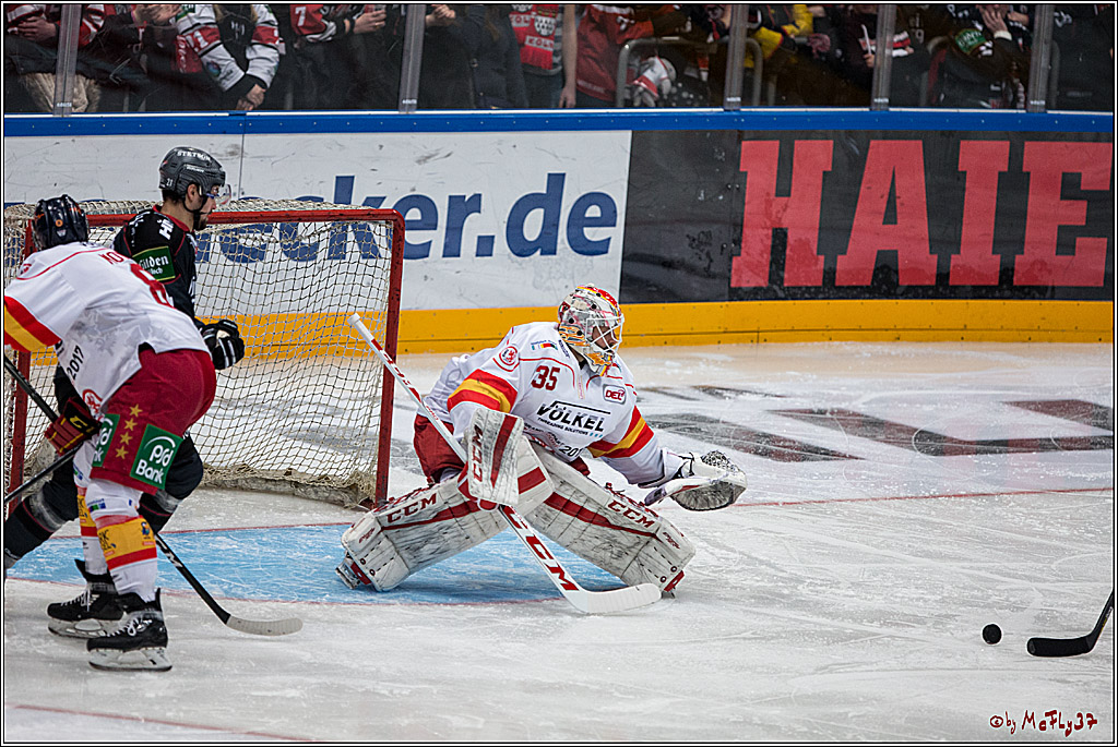 DEL, Koelner Haie - Duesseldorfer EG, 14.02.2017